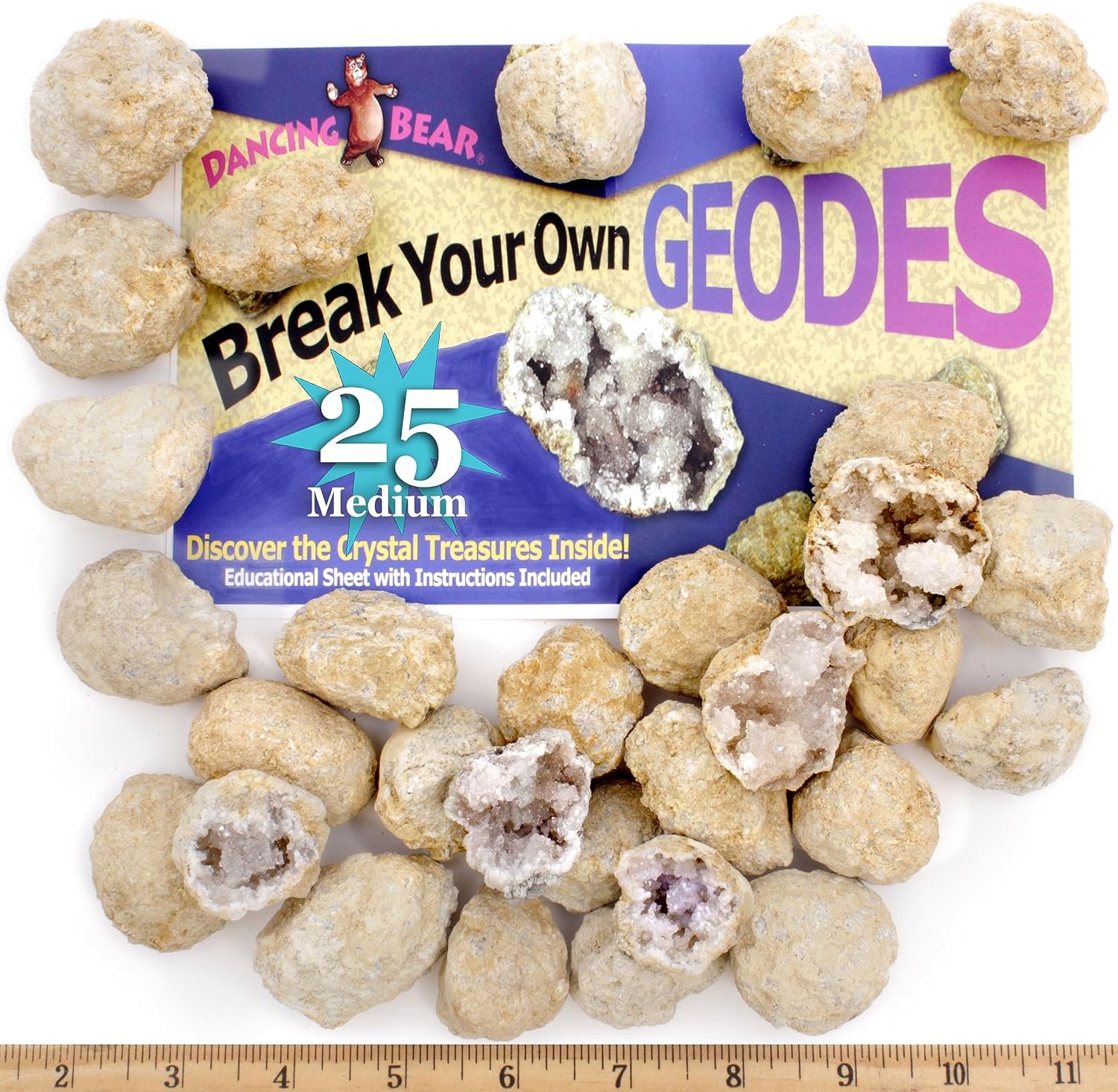 DANCING BEAR 25 Break Your Own Geodes