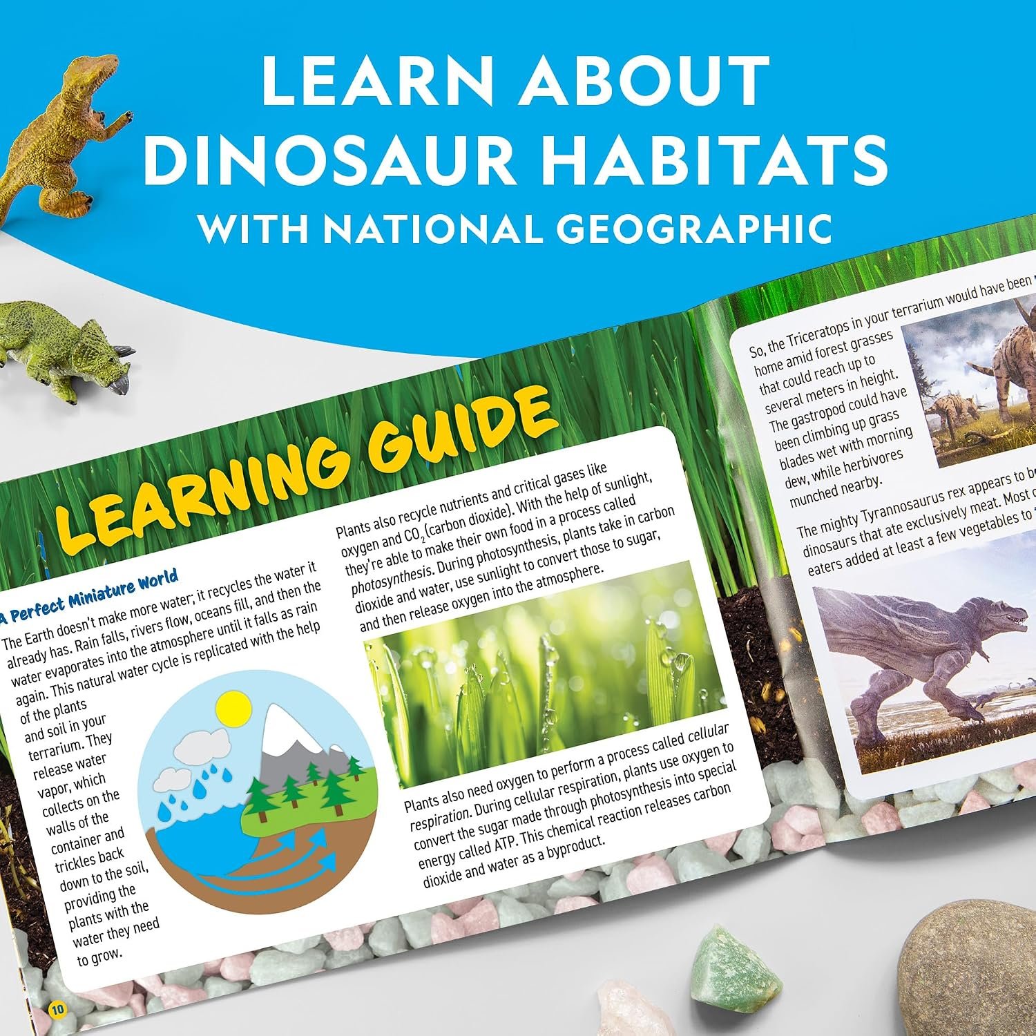 National Geographic Light-Up Dinosaur Terrarium Kit - Image 7
