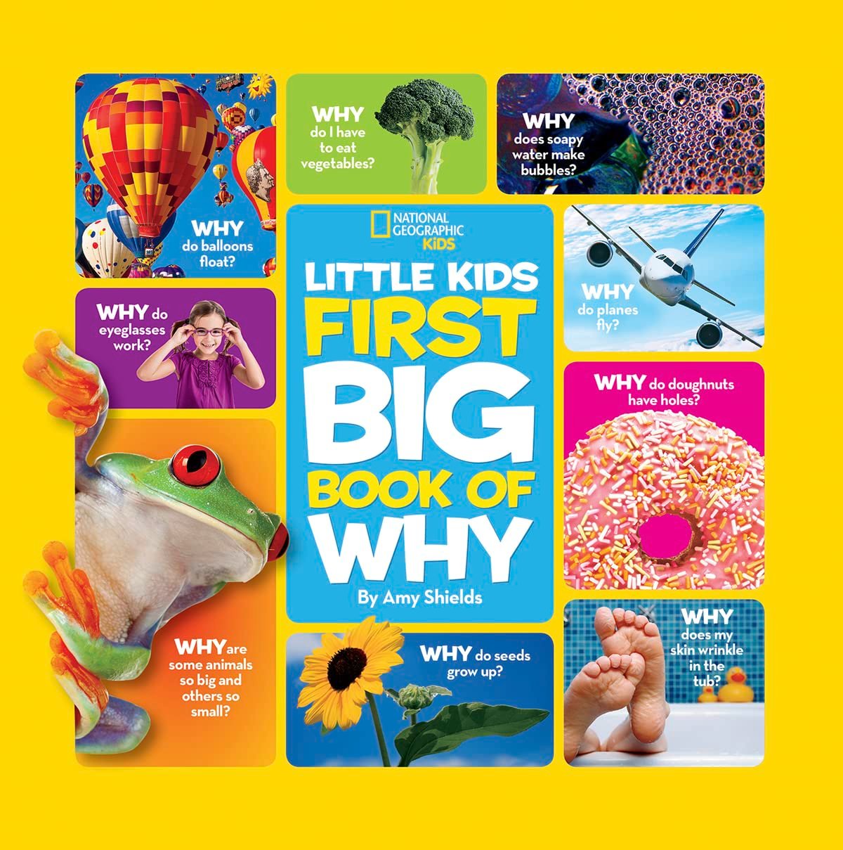 National Geographic Little Kids First Big Book of Why Questions and Answers About the World for Curious Kids - Image 1