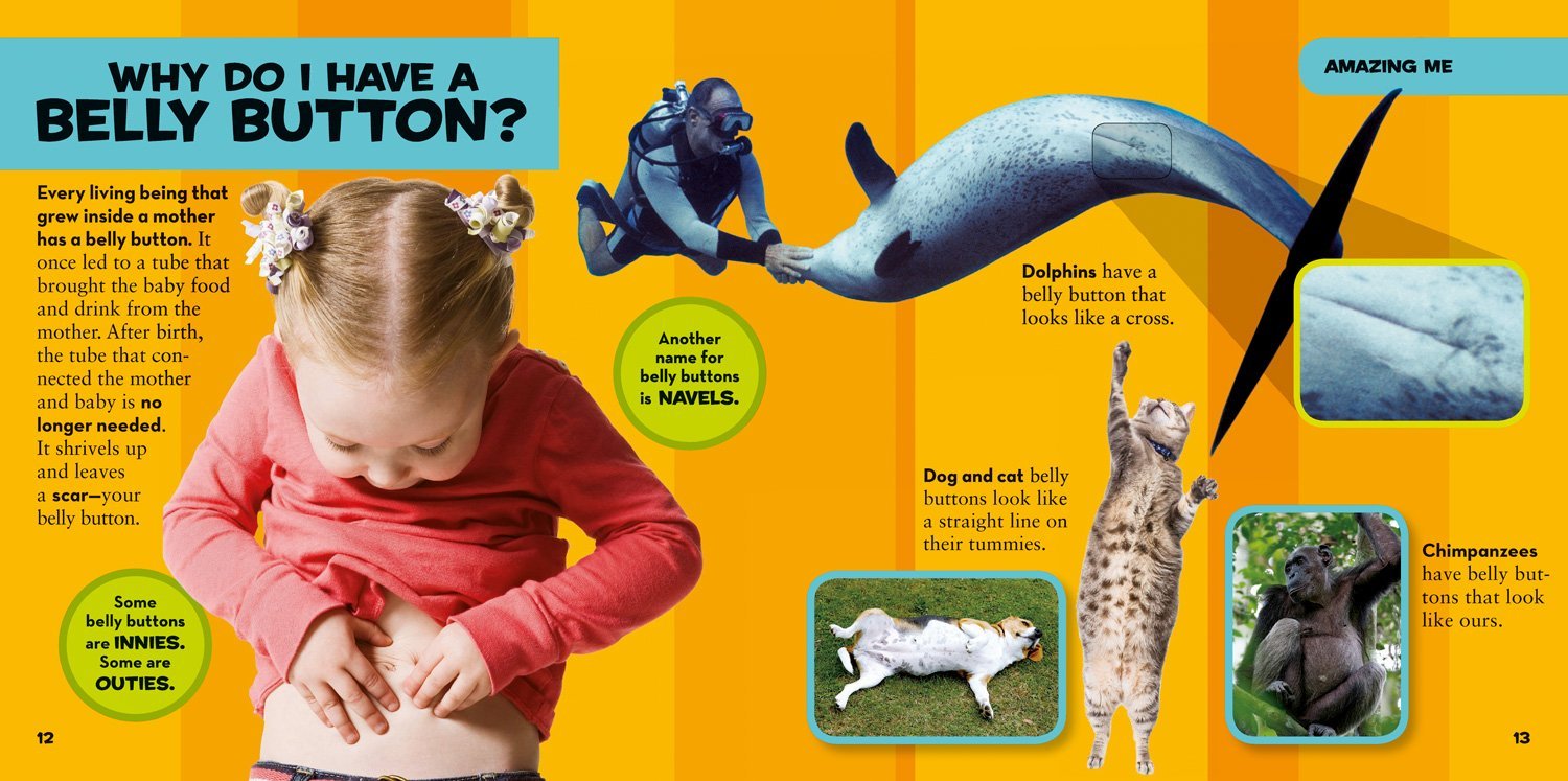 National Geographic Little Kids First Big Book of Why Questions and Answers About the World for Curious Kids - Image 2