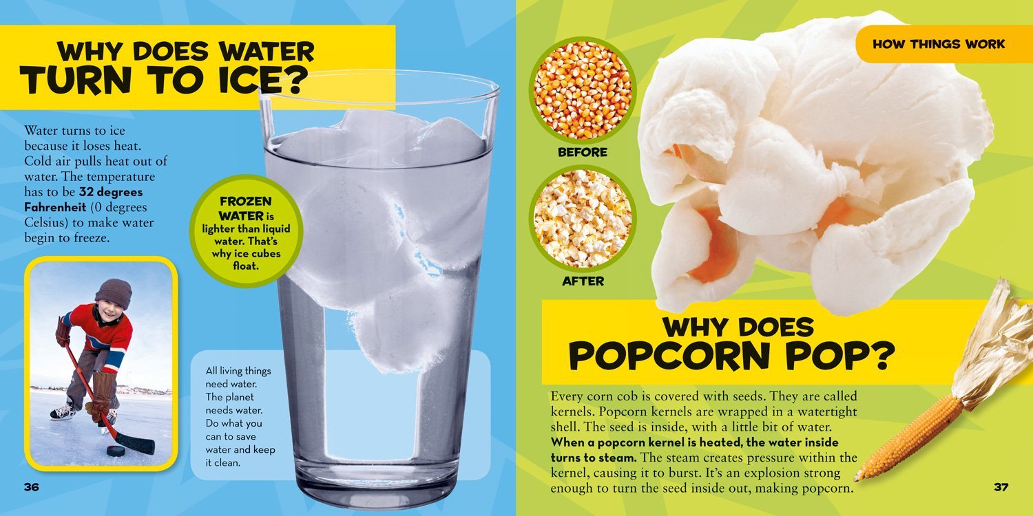 National Geographic Little Kids First Big Book of Why Questions and Answers About the World for Curious Kids - Image 3