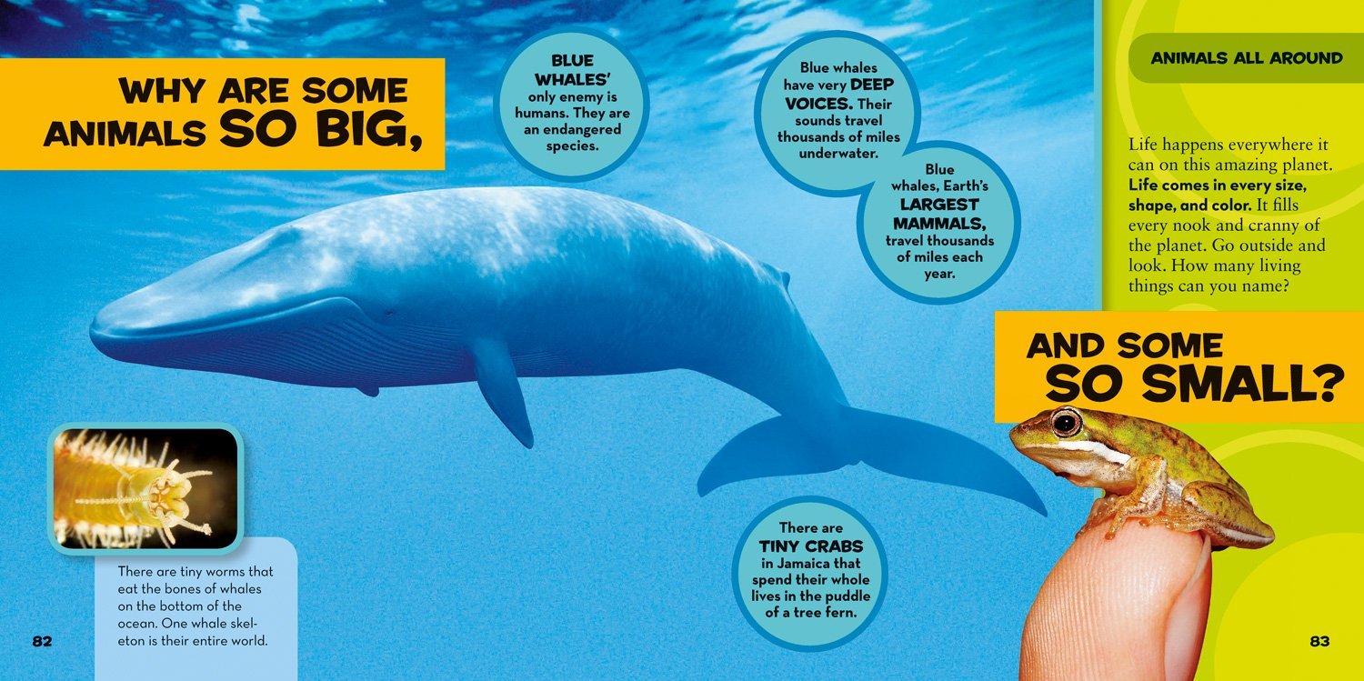 National Geographic Little Kids First Big Book of Why Questions and Answers About the World for Curious Kids - Image 4