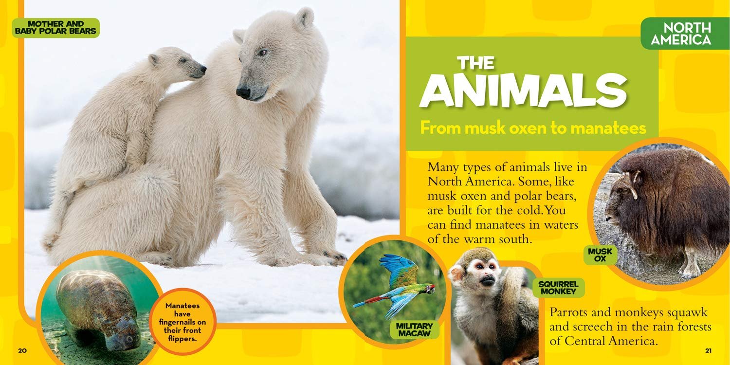 National Geographic Little Kids First Big Book of the World - Image 3